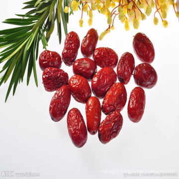 chinese wholesale specialty sweet red dates